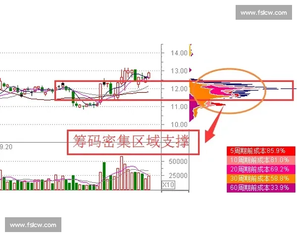 柔道vs技术流派碰撞与实战策略全面解析之路高手对决演进趋势